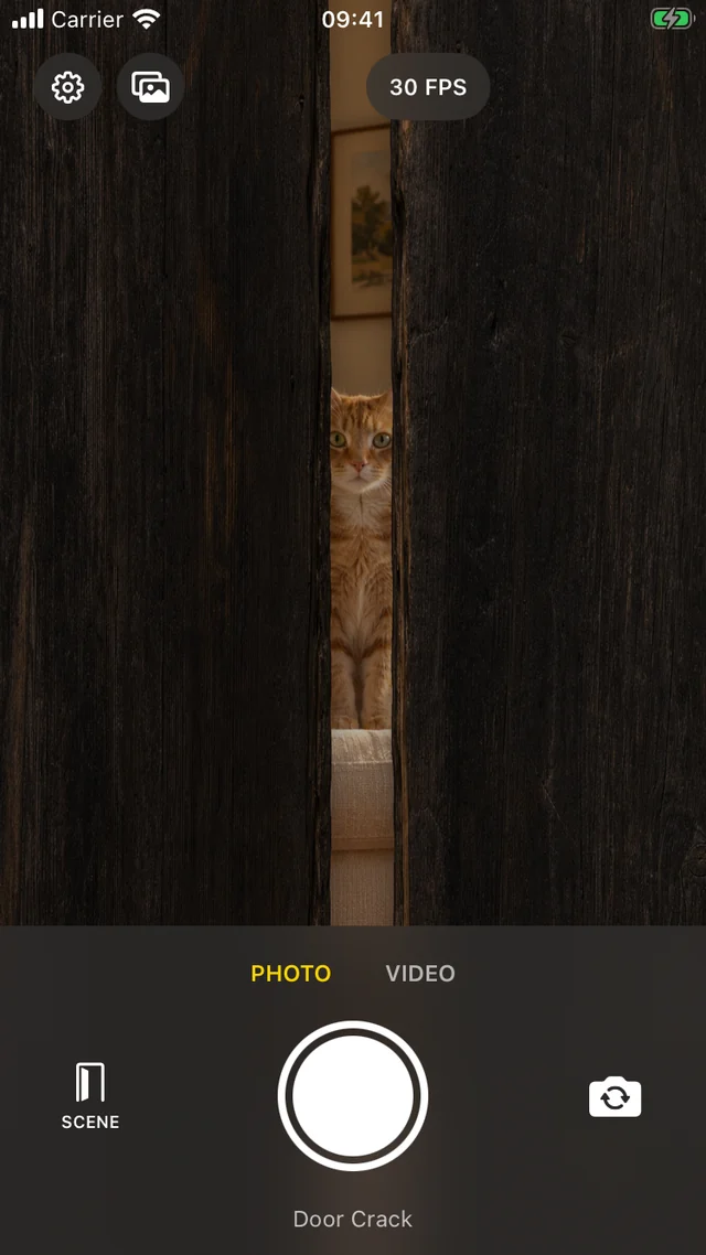 A surprise behind the door